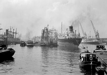 836610 Afbeelding van schepen in de haven te Rotterdam.